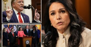Tulsi Gabbard exposes the flimsy âfalse narrativeâ intel community watchdog pushed to impeach Trump in 2019